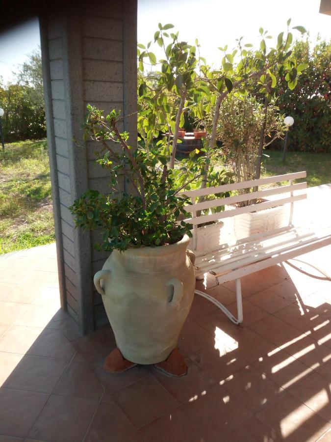 Villa Antonietta Pedara Eksteriør billede